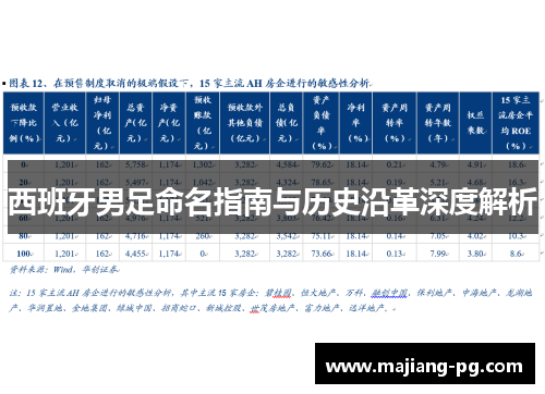 西班牙男足命名指南与历史沿革深度解析