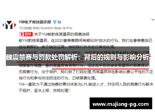 魏震禁赛与罚款处罚解析：背后的规则与影响分析